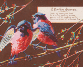 1800&#39;s Antique Victorian new Year Card - Birds on Branches - $8.00