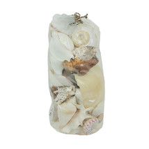 3 Pound Bag Full of Mixed Seashells Decorative Filler Clam, Scallop, Con... - $27.65