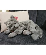 Ty Beanie Buddy - BEANI the Grey Cat (13 Inch) MINT with MINT TAGS - Plu... - $67.66 CAD