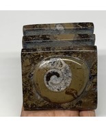 498g, 2.9&quot; x 2.9&quot; x 1.9&quot; Fossils Orthoceras Ammonite Business Card Holde... - £11.01 GBP