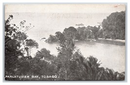 Parlatuvier Bay Birds Eye View Tobago BWI Miller&#39;s Stores UNP UDB Postcard P18 - £26.77 GBP