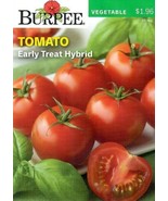 GIB Tomato Early Treat Hybrid Vegetable Seeds Burpee  - $9.00