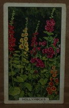 VINTAGE GALLAHER CIGARETTE CARDS GARDEN FLOWERS HOLLYHOCKS No 15 NUMBER ... - $1.71