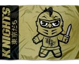 UCF Knights Yellow Club Flag 3X5ft Banner USA Polyester with 2 Brass Gro... - $15.99