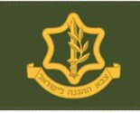 Israel Defense Forces GREEN 3&#39;X5&#39; Flag 100D Tzahal IDF Israeli Military ... - £10.10 GBP
