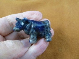 Y-C-ow-566 Blue gray sodalite Bos cattle gemstone dairy farm milk stone ... - $18.69