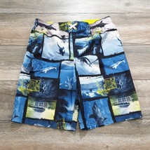 Joe Boxer Swim Trunks Board Shorts Boy Men XL 14/16 Shark Surf 32&quot; Waist Beach - £10.01 GBP