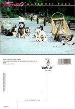 Alaska Denali National Park Husky Dog Sledding Team VTG Postcard - £7.47 GBP