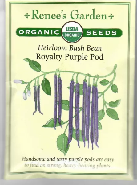 Bean Royal Purple Pod Organic Heirloom Vegetable Seeds Fresh Garden - $12.70