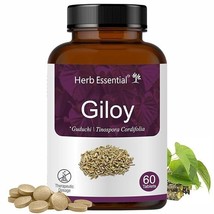 Giloy Tablets,500mg, 60 Tablets | Helps Boost Immunity | 100% Pure Herbs - $11.86+