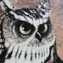 Richard Hinger Screech Owl Wood Picture Wall Art Vintage MCM Mid Century 22x16 - £26.15 GBP