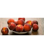 2 Peach Seed Organic Garden Fruit Fast Free Shipping USA SELLER - £10.38 GBP