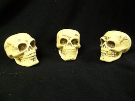 3 pc set of Mini Foam Skulls Creepy Halloween Prop Decor Crafts Mummifie... - $257.29 MXN