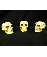 3 pc set of Mini Foam Skulls Creepy Halloween Prop Decor Crafts Mummifie... - $19.59 CAD
