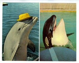 4 Sea World San Diego Postcards Shamu Sandy Fantasy of Water Whale Ride  - £13.99 GBP