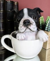 Realistic Boston Terrier Teacup Statue Pet Pal Tuxedo Gentleman Dog Figu... - $30.99