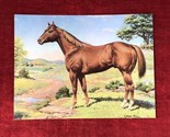 American Quarter Horse Painting - Orren Mixer AQHA Postcard VTG Equestrian - £4.26 GBP