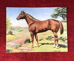 American Quarter Horse Painting - Orren Mixer AQHA Postcard VTG Equestrian - £4.35 GBP