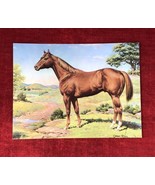 American Quarter Horse Painting - Orren Mixer AQHA Postcard VTG Equestrian - £4.07 GBP