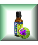 Violet Flower Absolute Oil (Viola odorata) - $8.00+