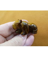 Y-PANT-564 brown Tiger&#39;s eye PANTHER stone LEOPARD big wild cat GEMSTONE... - $266.28 MXN