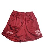 Inaka Power Unisex Mesh Shorts Lined Size Medium Maroon IP Logo 3.5&quot; Ins... - $34.60