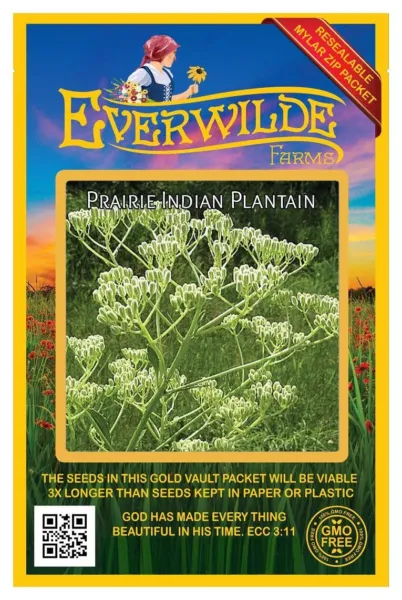 25 Prairie Indian Plantain Wildflower Seeds Farms Mylar Seed Packet Fresh Garden - £7.42 GBP