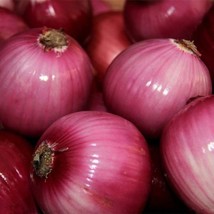 LimaJa Red Grano Onion Seeds, 200 Mild Short Day Vegetable Heirloom  - £1.57 GBP