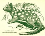 Native Cat (Shaw) National Museum of Victoria Australia Postcard UNP - £4.65 GBP