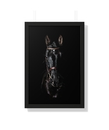 Eternal Grace:The Black Stallion Portrait - Posters Decorations -Framed ... - $120.00