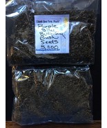 FMG 5 000 Purple Blue Bush Seeds 1 Seeds Approx 5 Oz Bags Planting Seeds - $23.94 CAD