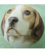 Ceramic Cabinet Knobs Knob  W/ Beagle #3 DOG 229 - £3.48 GBP