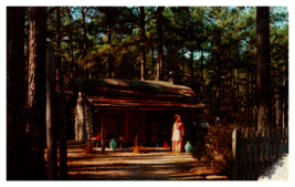 Woman&#39;s Exchange Pinehurst North Carolina Log Home Postcard Unposted - £3.65 GBP