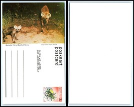 South West Africa (Swa) Postcard - Spotted Hyena E12 - £2.36 GBP