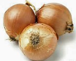 Onion Spanish Yellow 25 Sweet Great For Cooking Heirloom Seeds - $11.11