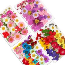 Dried Pressed Flowers,141Pcs Natural Dried Flowers For Resin Molds Real Pressed  - £24.15 GBP