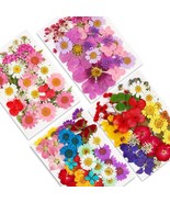 Dried Pressed Flowers,141Pcs Natural Dried Flowers For Resin Molds Real ... - £25.15 GBP