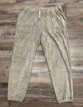 Aerie Offline Aerie After Party Velour Jogger Size Medium Gray New with ... - $22.02