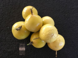 Golden Lilikoi, Yellow Passion Fruit Seeds, Passiflora Flavicarpus - 10 ... - $0.99