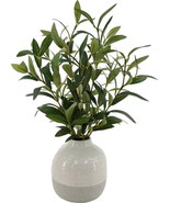 Modern14-in Indoor Artificial Olive Plant in 2-Tone Ceramic Vase - $22.76