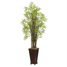 5.5’ Grass Bamboo Plant with Decorative Planter - £143.86 GBP