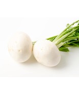 White Turnip Seeds - Organic &amp; Non Gmo Seeds - Heirloom Vegetable Seeds ... - £1.78 GBP