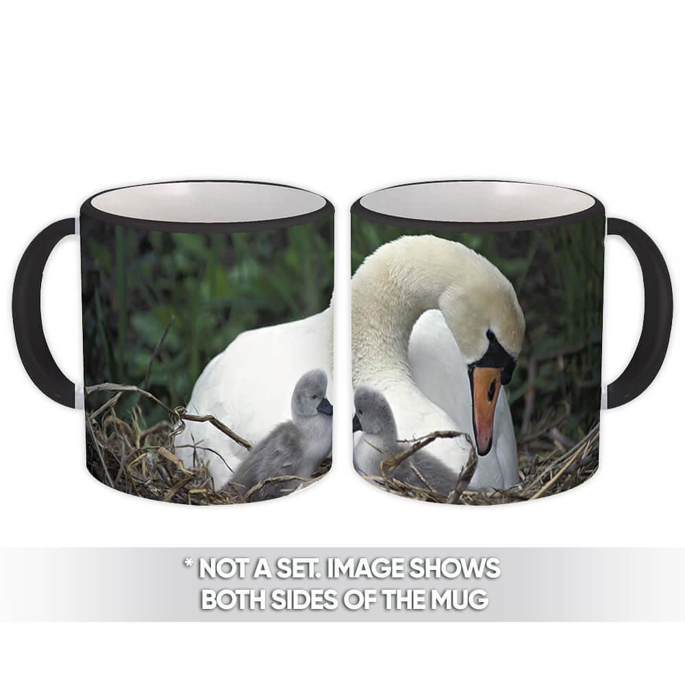 Swan : Gift Mug Wedding Bird Nature Animal Ecology Nature Aviary - $15.90