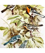 Blackburnian &amp; Cerulean Warblers 1957 Lithograph Bird Print John H Dick ... - $49.99