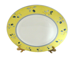 Blueberry Pattern Royal Doulton  inner Plate Yellow Rim Rope Blue Trim 2005 - £13.14 GBP