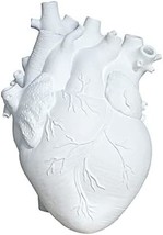 The Defdong Decorative Flower Vase For Home Decor Resin Anatomical White - £31.67 GBP