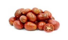 LWSTORE Evans Chocolate Plum Tomato 12 Seeds USPS Shipping - £6.50 GBP