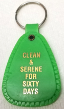 Clean Serene 60 Days Keychain Narcotics Anonymous Logo Green Plastic Vin... - £9.51 GBP