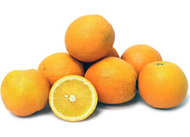 5 Lima Orange Seeds Fresh Seeds USA - $6.96