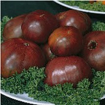 USA SELLER Russian Black Tomato Seeds Fast Shipping - £7.72 GBP